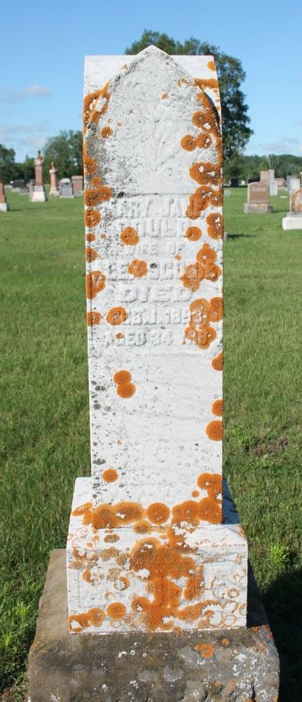 gould-mary-jane-headstone-cobden.jpeg