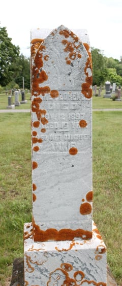scobie-jane-florence-headstone-cobden.jpeg